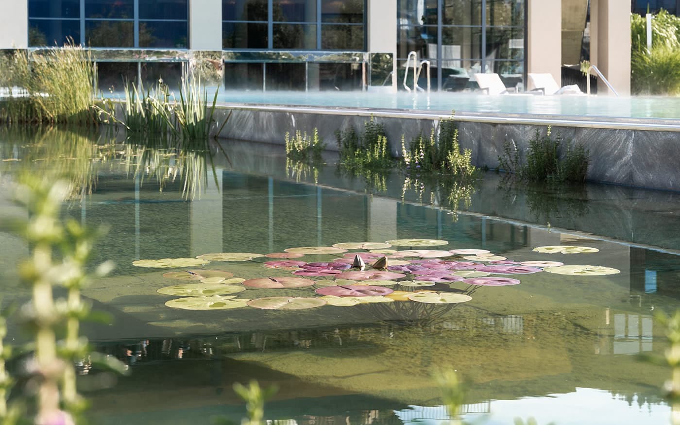 Ein Teich mit Seerosen und im Hintergrund ein modernes Geb&auml;ude mit Pool und Liegest&uuml;hlen