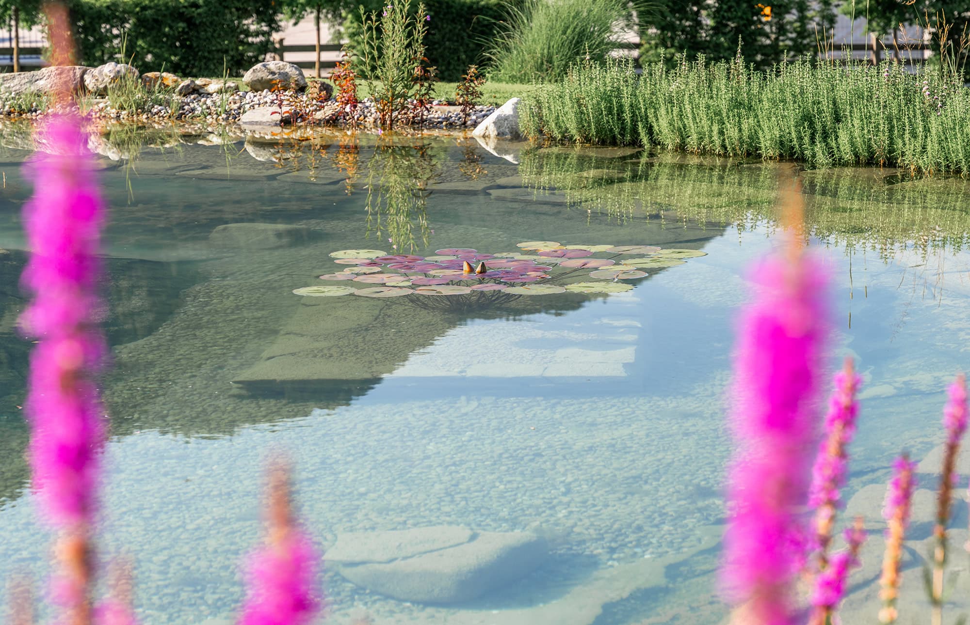 Schwimmteiche vom Poolbauprofi Gollner in &Ouml;sterreich